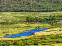 Grimsdalsvegen